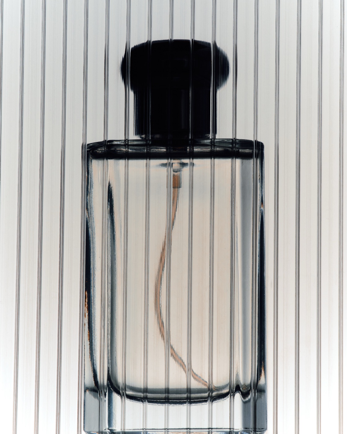 Landing Site — fragrance
